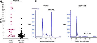 Role of low-density lipoprotein electronegativity and sexual dimorphism in contributing early ventricular tachyarrhythmias following ST-elevation myocardial infarction